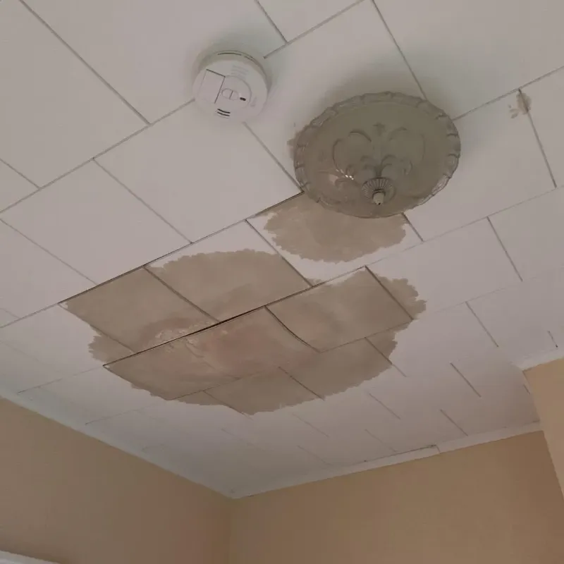 Ceiling Water Damage Repair in Middleport, OH