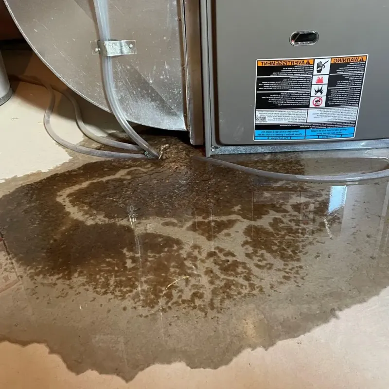 Pipe Burst and Leak Restoration in Middleport, OH