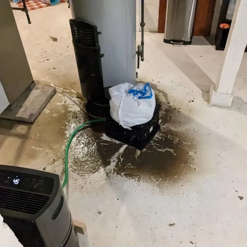 Sewage Backup Cleanup Service in Middleport, OH